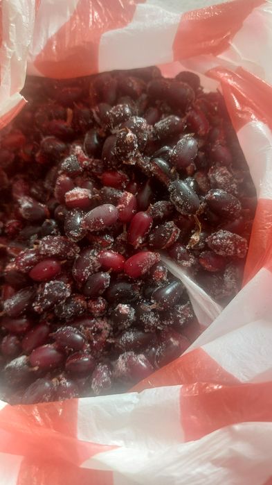Замороженная фрукты