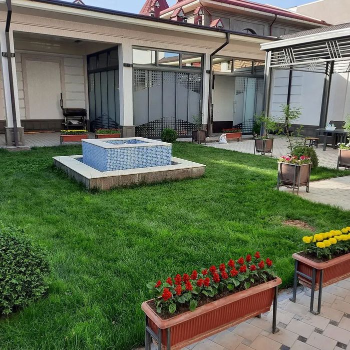 Газон.Полив.Готовый газон.