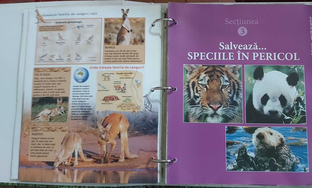 Numere Educaționale pentru Copii din seria "Animalele Planetei"