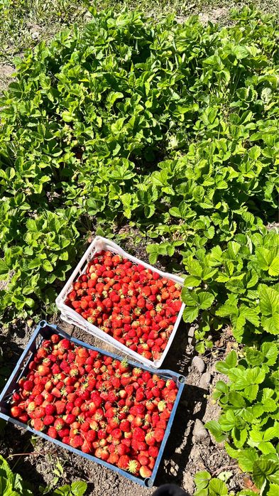 продам дачу в Бугорках