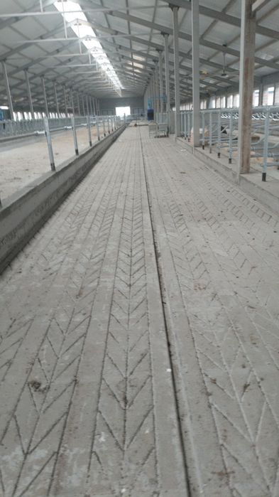 Битон жумыс жасаимыз лубои