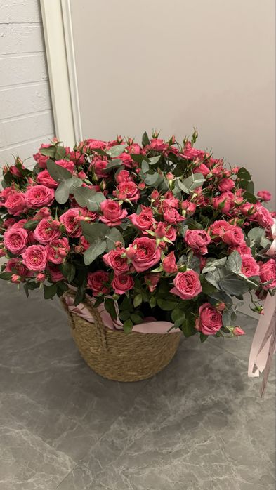 Срочно продаю цветы, они свежие