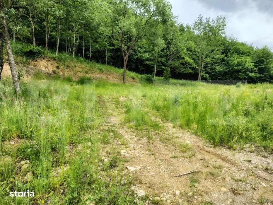 Teren zona de munte 1800 mp, cu apa de izvor, la Somesu Rece