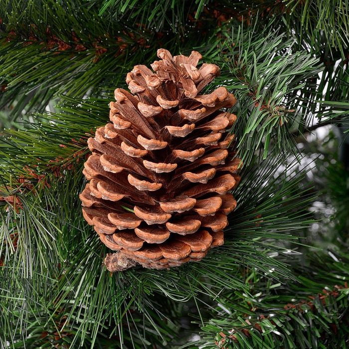 Елха естествено зелена с шишарки