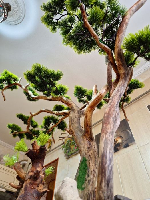 Бонсай ручная работа