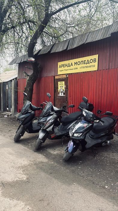 Мопеды в аренду недорого