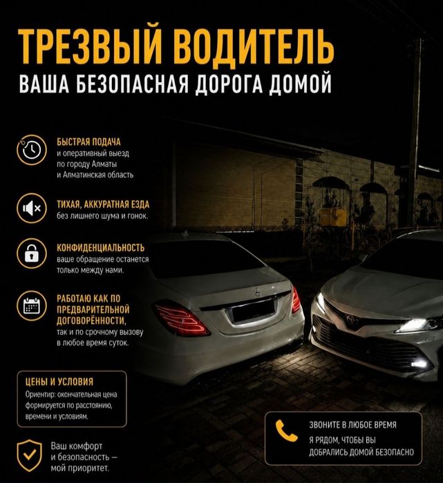 Трезвый водитель
