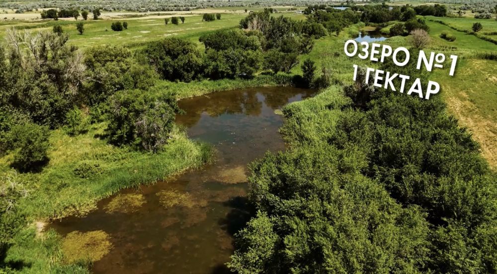 Земельный участок