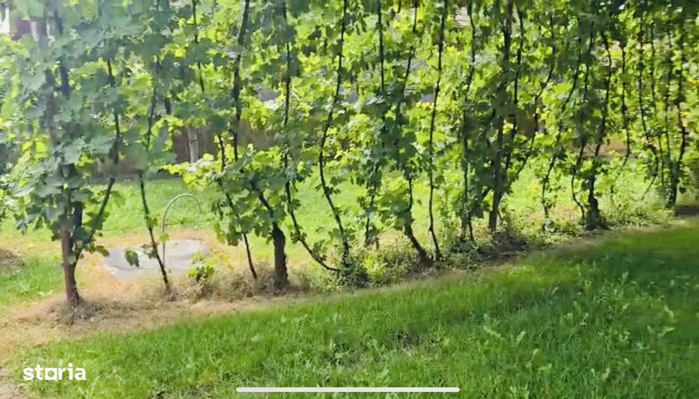 Casă de vânzare în Tritenii de Jos, Județul Cluj