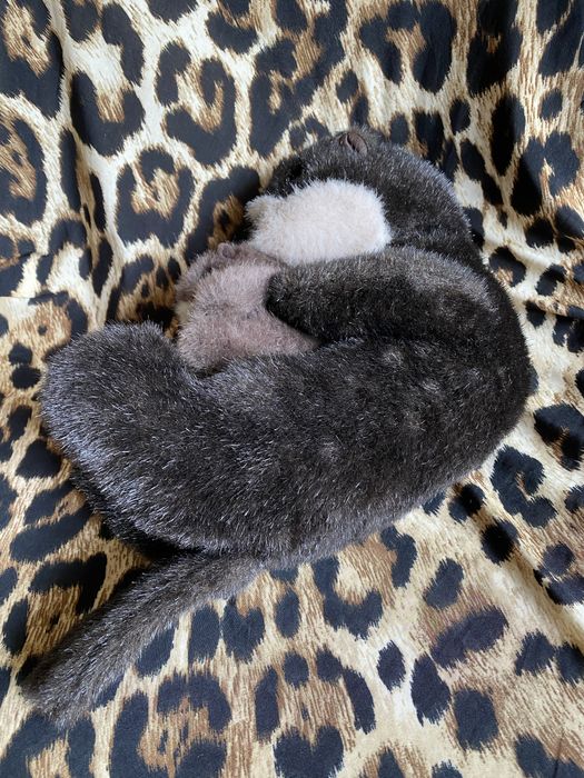 Выдра мягкая игрушка