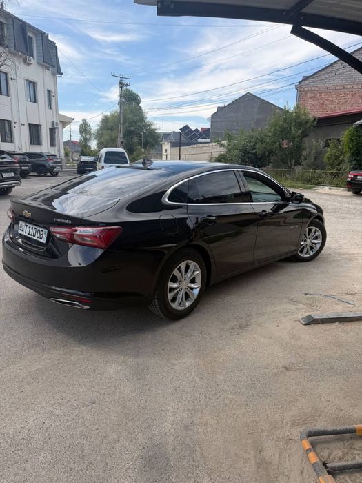 Malibu2  premier