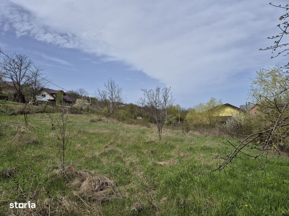 Teren intravilan, 5000 mp, 35 euro/mp, Vladiceni