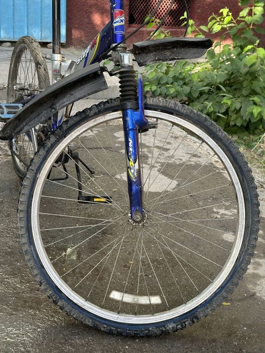 Velosiped arzon narxda