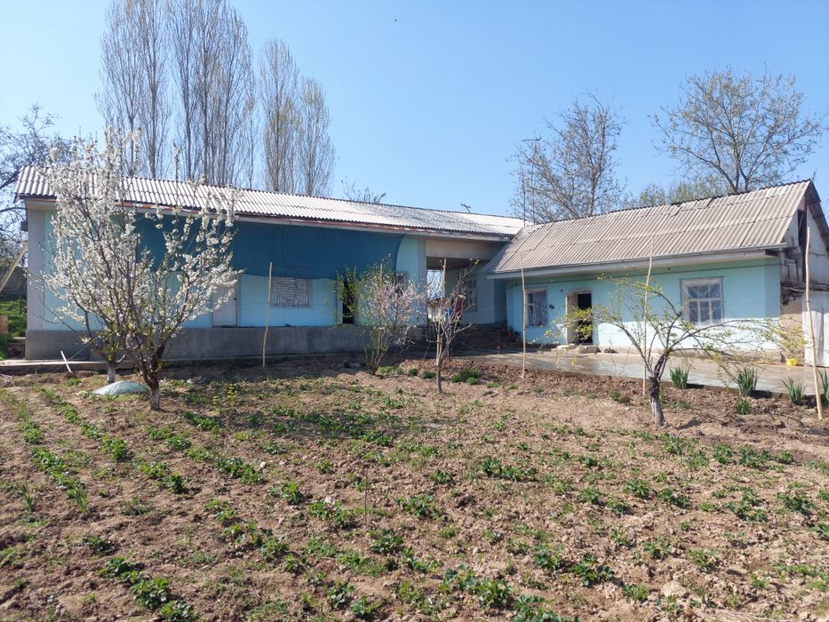 Ховли уй. Трасса буйида