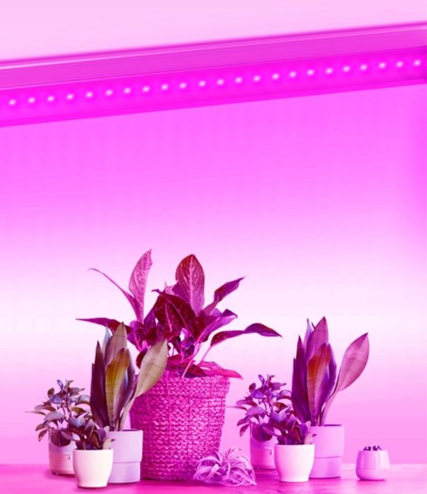 Фитолампы для растений       Цена 180.000 сум 18 w 120см длина