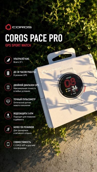 Coros pace pro grey blue Black