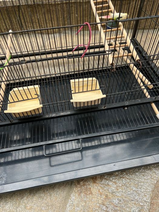 Голяма клетка папагали