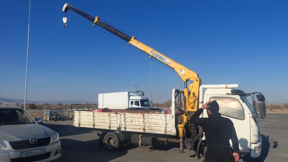 Манипулятор Dongfen