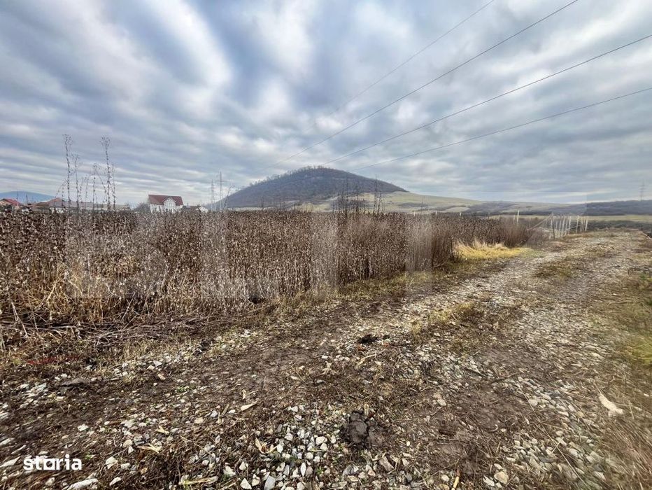 Teren intravilan, 10 ari, ideal pentru casa/hala, zona Sarata