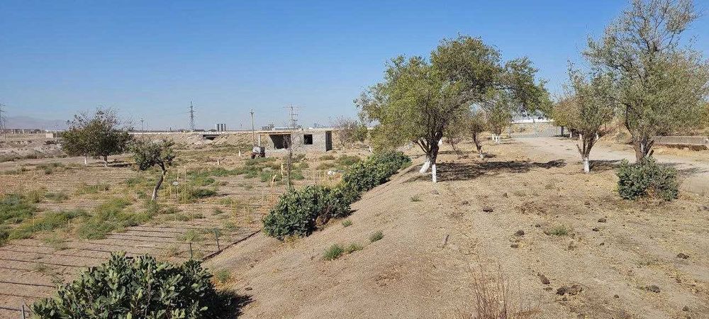 Ёрдамчи хужалик бинолари (Здание Подсобного хозяйство)