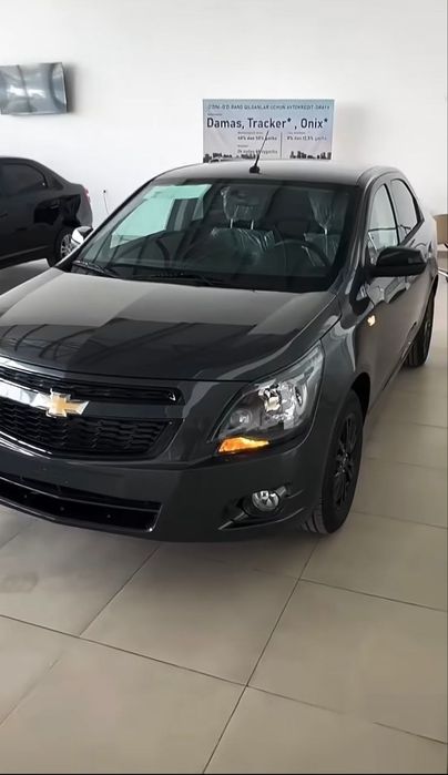 Cobalt Midnight MCM 2026 Qora