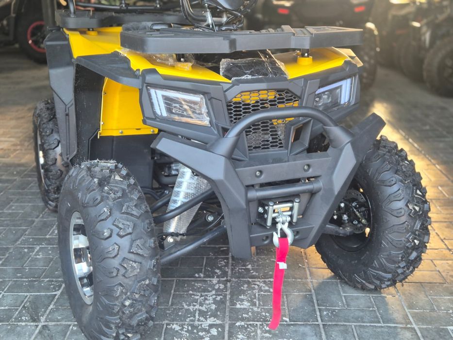 Квадроцикл викинг 250 про