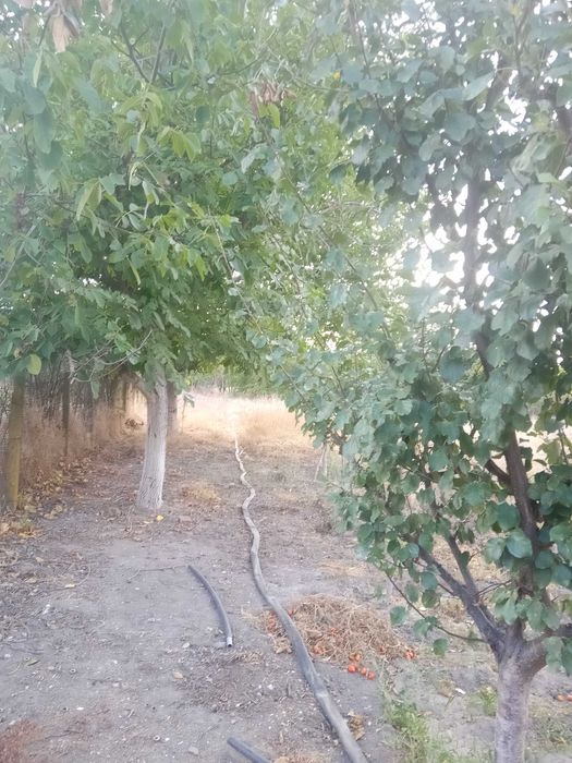 Продава се Парцел в с. Белозем, Област Пловдив - 1160 кв.м за 8 €/кв.м - Снимка #4