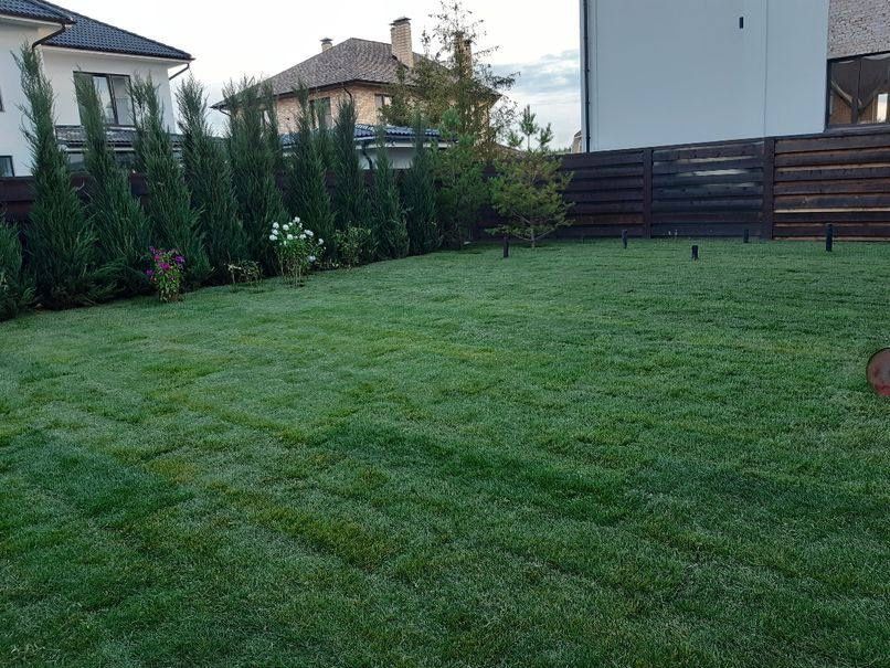 Газон, сетка, микроклимат