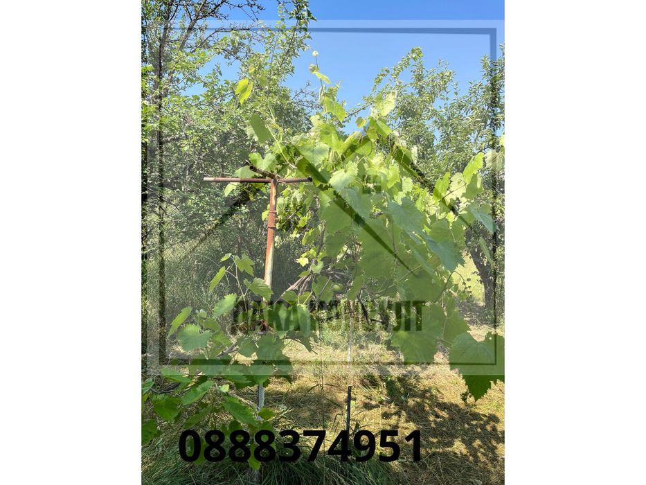 Продавам къща в с. Жедна