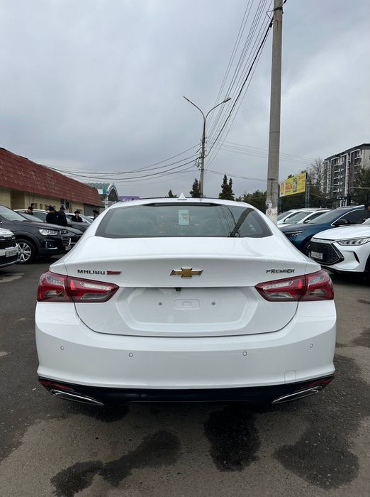 Malibu Premier tozza oq