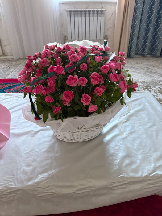 151 роза              .