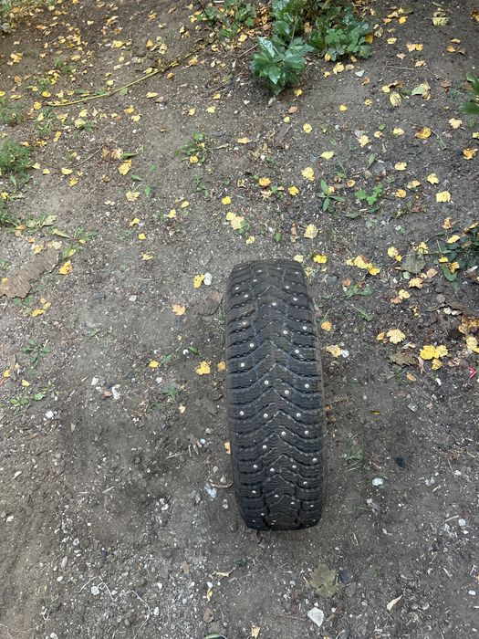 Продам шины R14 cordiant