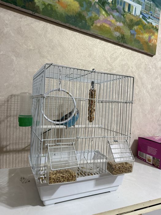 Попугай с клеткой