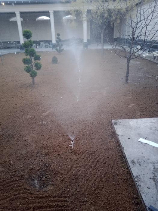 Landshaft gazon xizmati