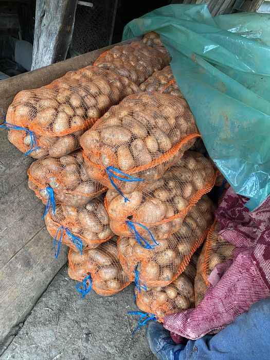 Cartofi albi si rosi  de vanzare