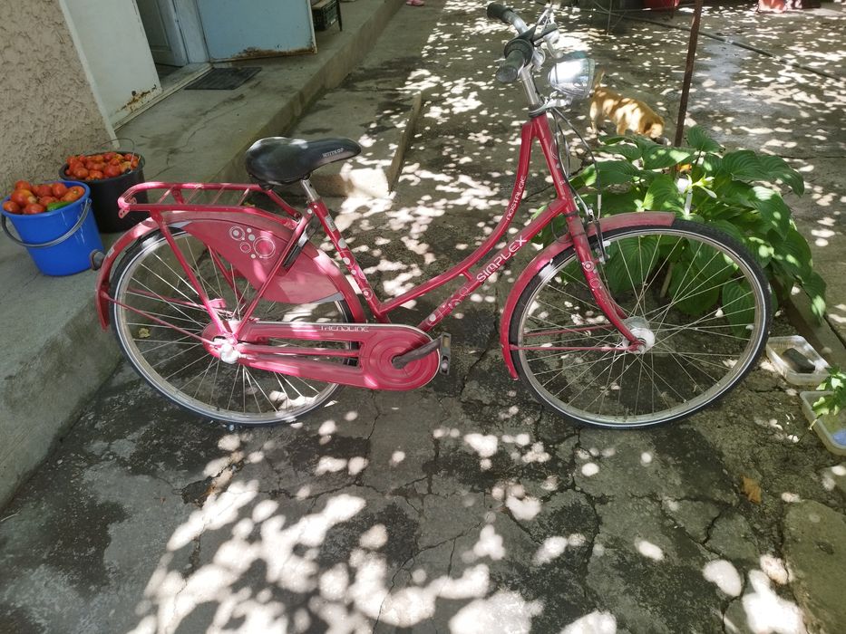 Bicicletă adulți