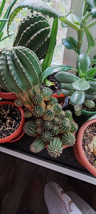 Продам недорого.