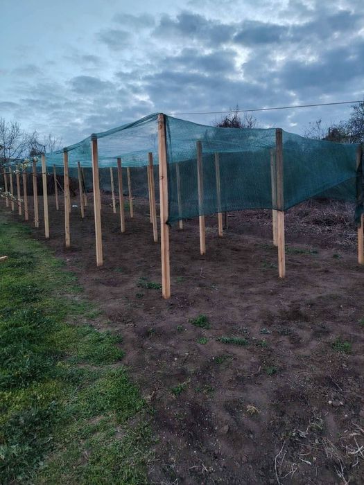 Дворно място в регулация с кладенец в село Джулюница