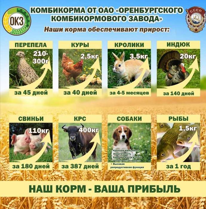 Полнорационные Комбикорма с поставкой в Шымкент