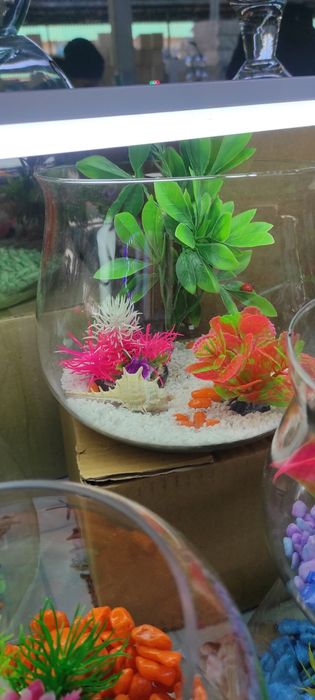 Круглые аквариумы!