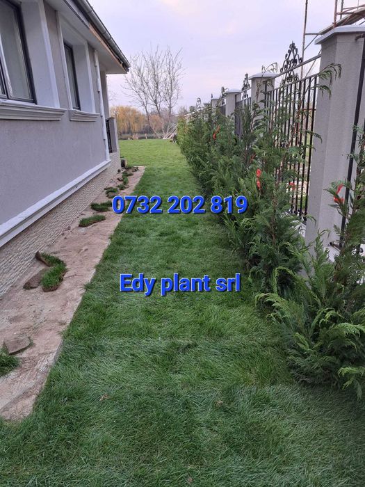 Gazon rulou sport, sisteme automatizate