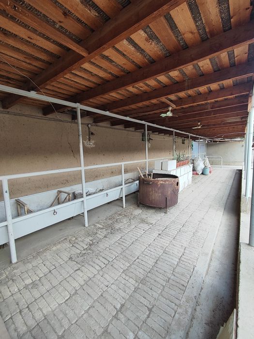 Uy sotiladi 11 sotix