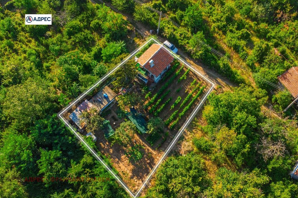 Къща в Плевен-м-т Мъртва долина площ 42 цена 34000