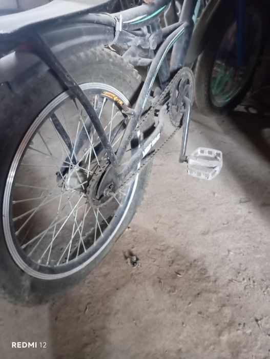 Velik bor kim olaydigonboʻlsa