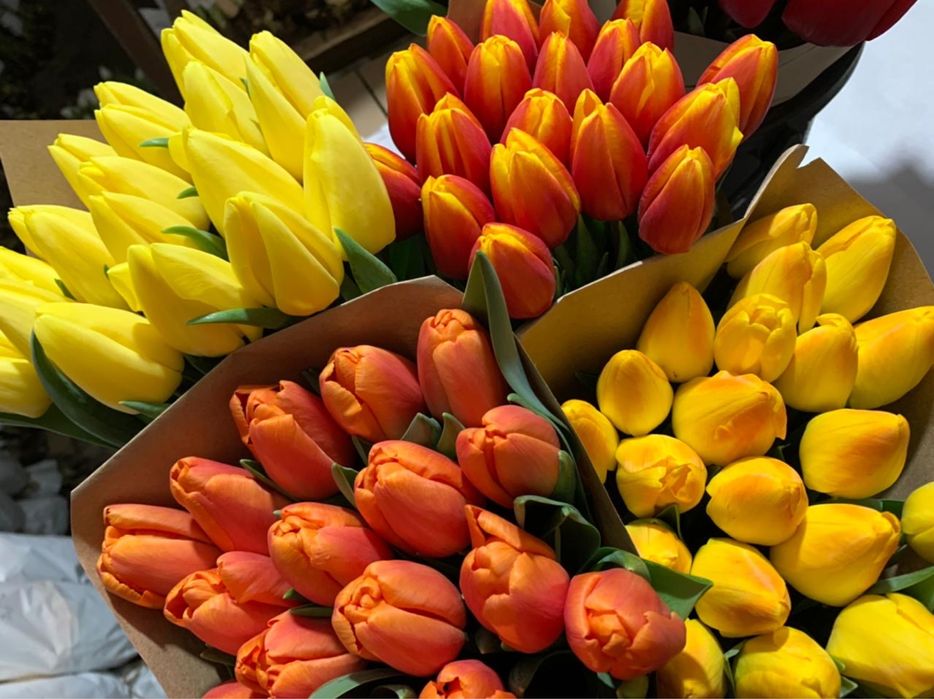 Тюльпаны мелкий и крупный опт