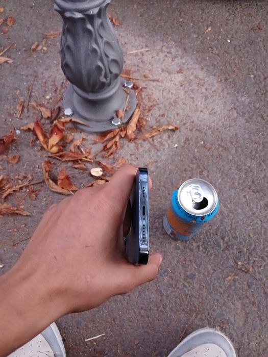 Iphone 12 pro max ca nou