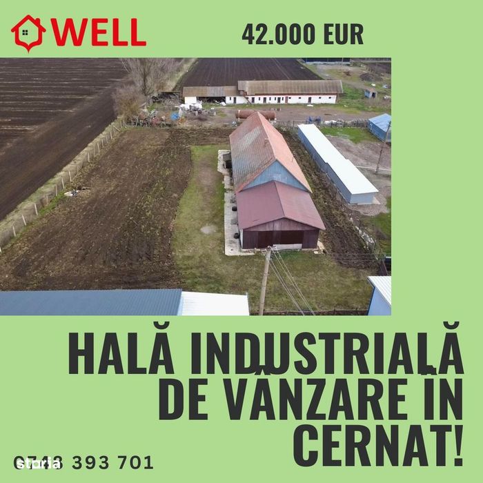 Hală industrială de vânzare în Cernat!