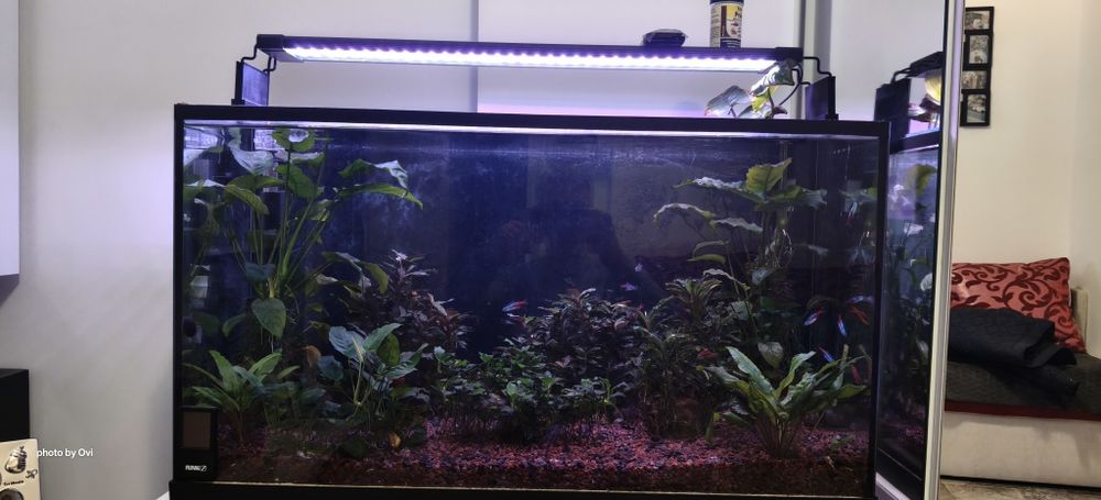 Acvariu complet cu accesorii