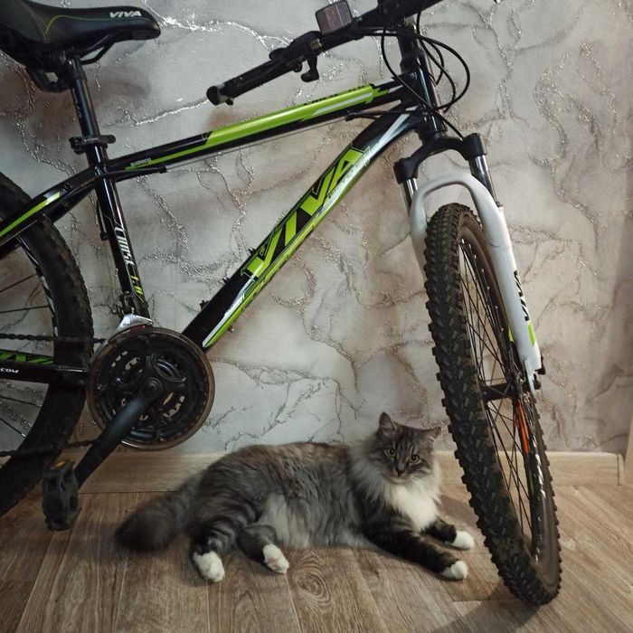 Велосипед VIVA Chase 1.0