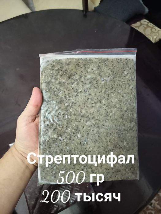 Замороженный корм для рыбки